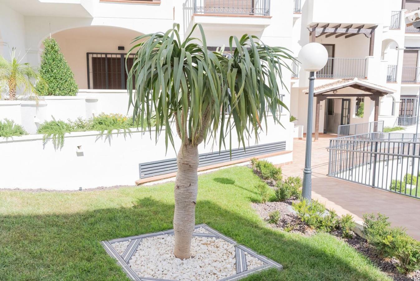 Todimer New Pueblo Mediteraneo Itrabo Exterior foto